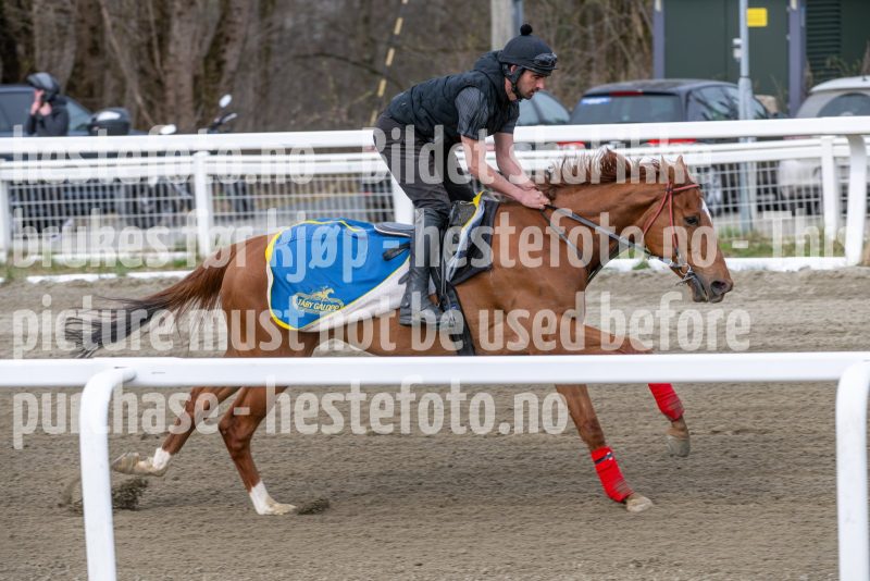 20260418-111903-DSC_6731
