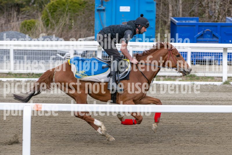 20260418-111904-DSC_6746