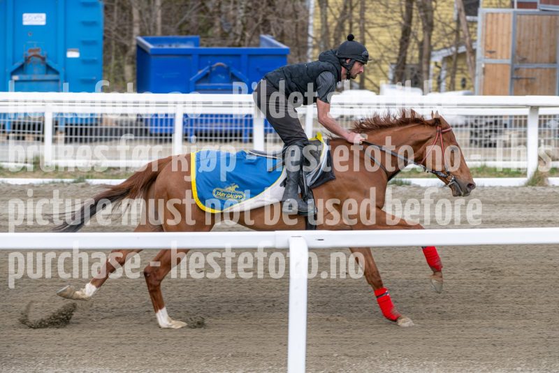 20260418-111904-DSC_6749