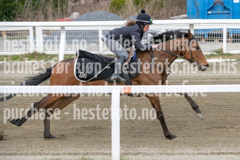 20260418-111926-DSC_6810