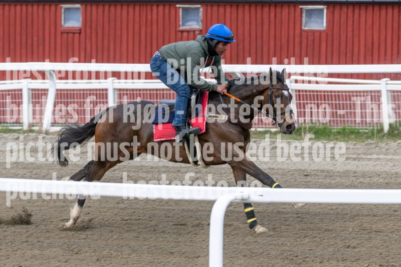 20260418-111950-DSC_6871