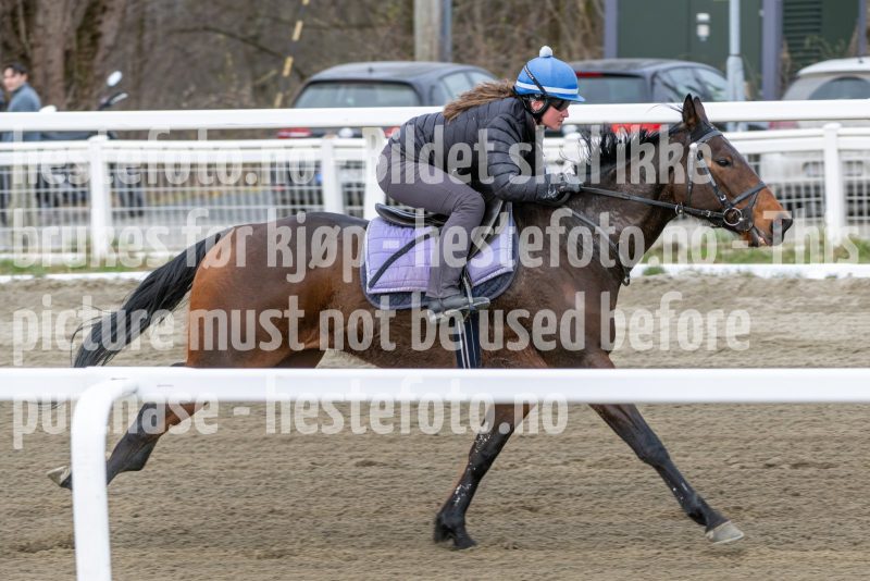 20260418-112205-DSC_7031