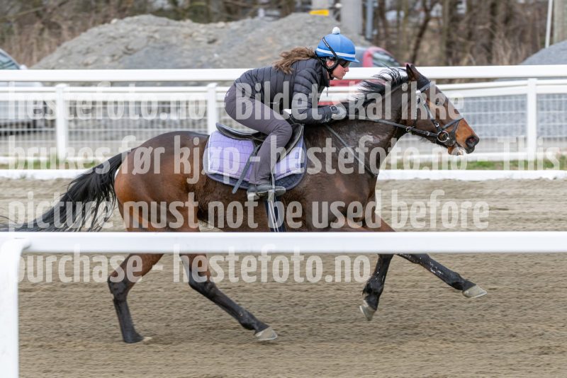 20260418-112205-DSC_7036