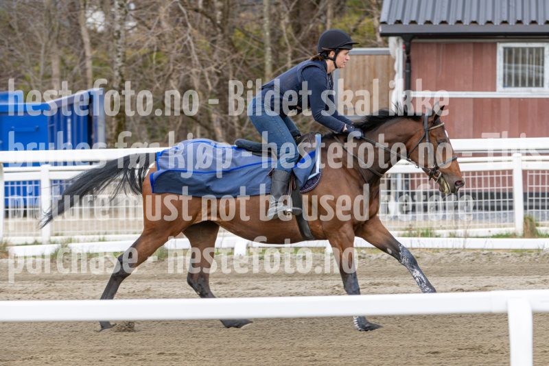 20260418-112246-DSC_7116