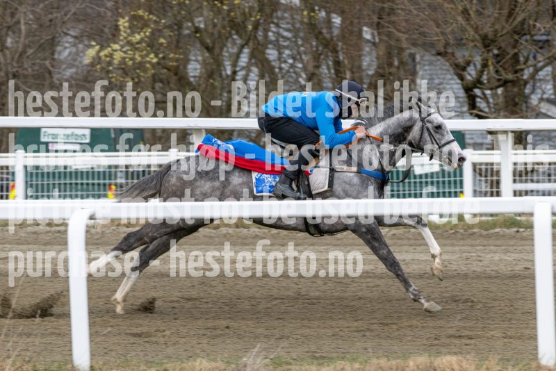20260418-112421-DSC_7141