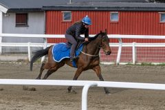 20260418-101717-DSC_5618