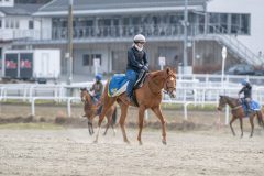 20260418-101855-DSC_5723