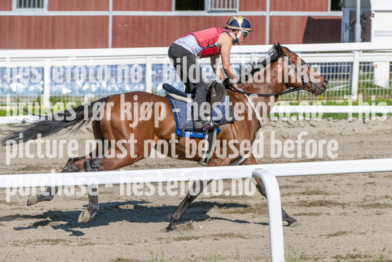 20240518-095822-DSC_6513