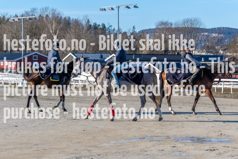20220219-114413-DSC2217
