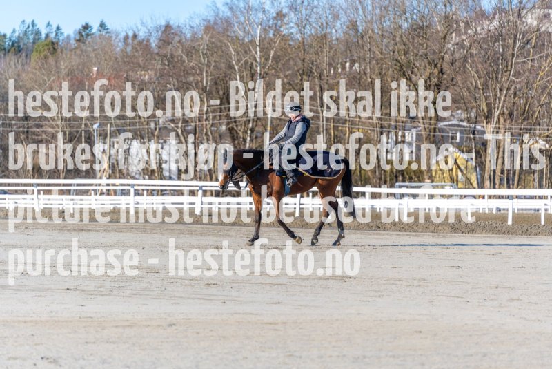 20220219-120129-DSC2321