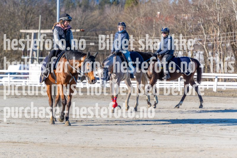 20220219-120138-DSC2325