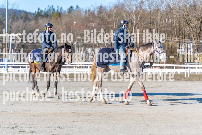 20220219-120146-DSC2333