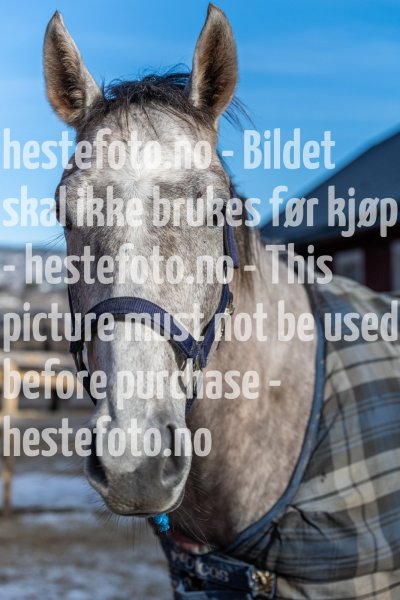20220220-131057-DSC2706