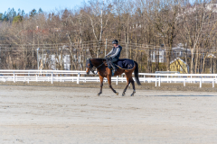 20220219-120129-DSC2321
