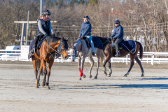 20220219-120138-DSC2325