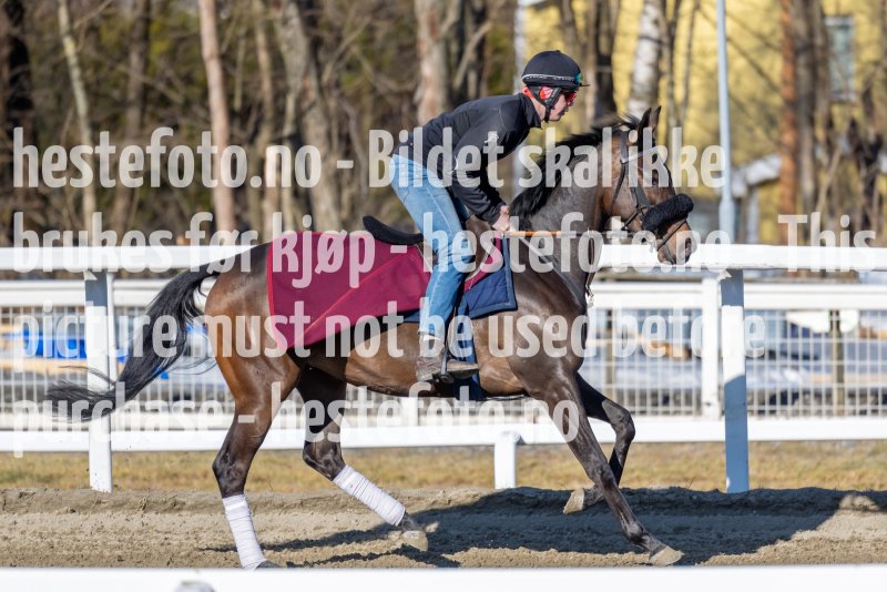 20220319-112751-DSC4887