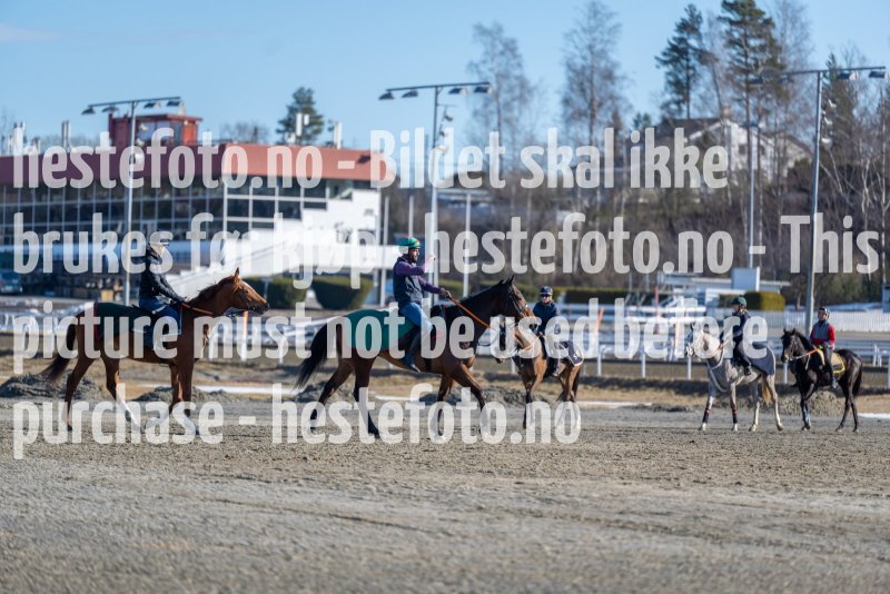 20220319-113746-DSC4947