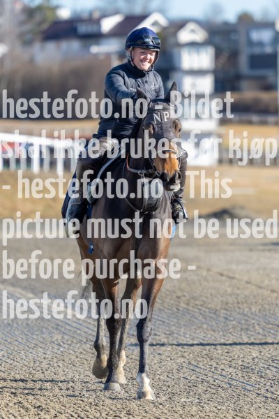 20220319-113833-DSC4981