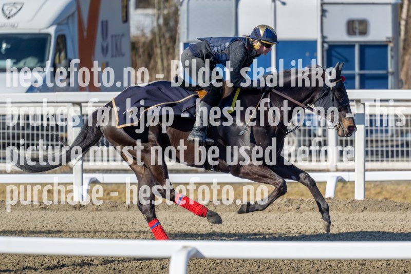 20220319-123826-DSC5261