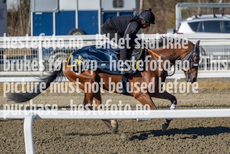 20220319-123912-DSC5308