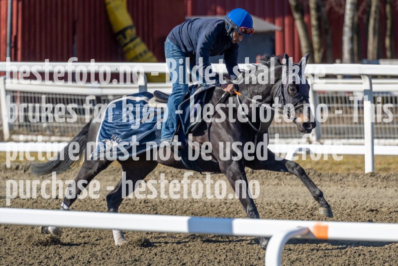 20220319-123932-DSC5322