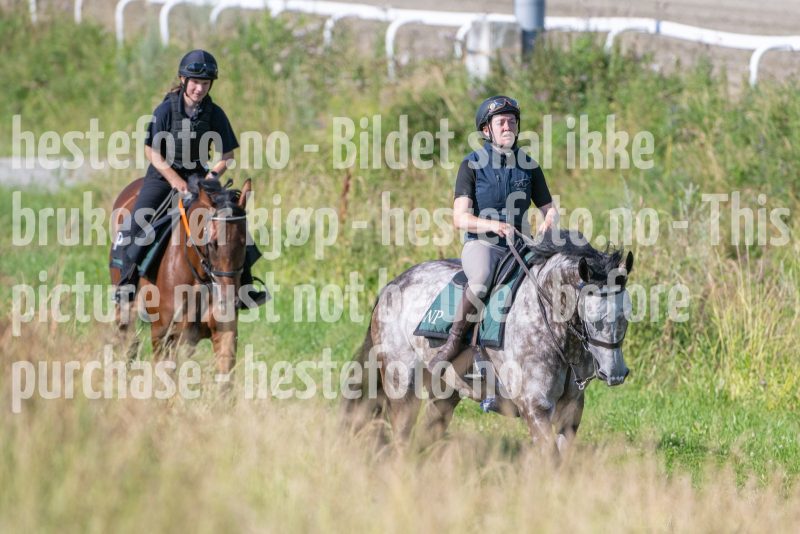 20250719-093504-DSC_3343