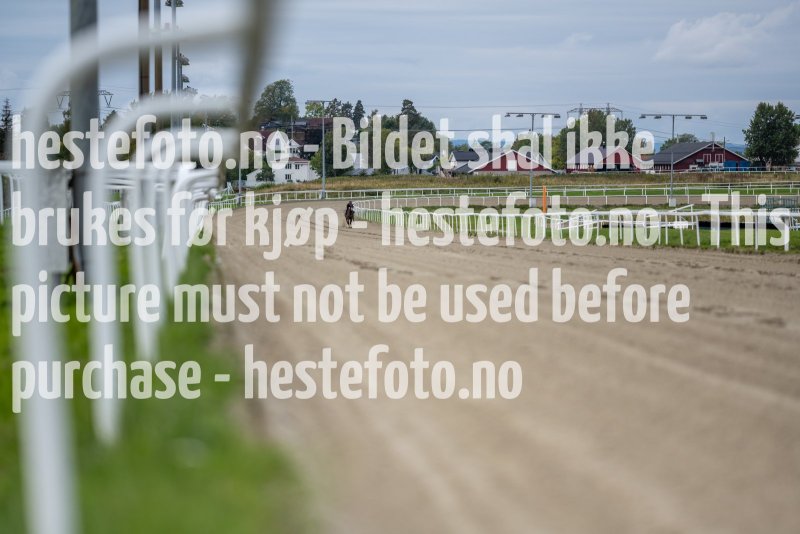 20210919-104500-DSC6139