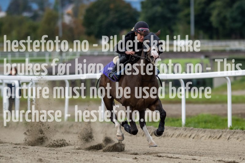 20210919-104510-DSC6155