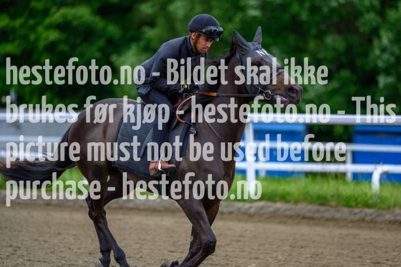 20210619-115202-ovrevoll-20210619-48