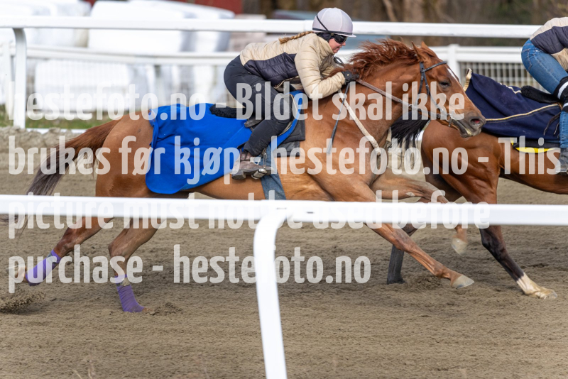 20240420-085349-DSC9773