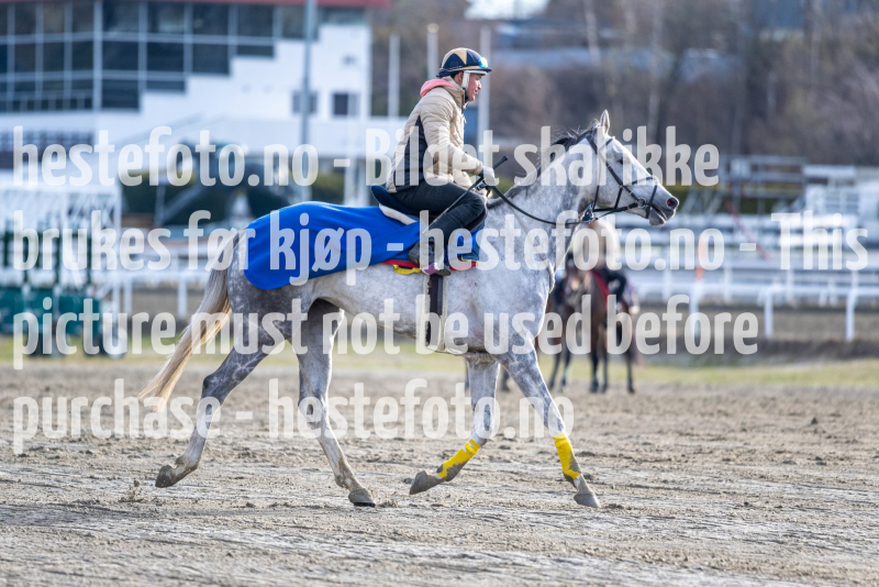 20240420-085516-DSC9788