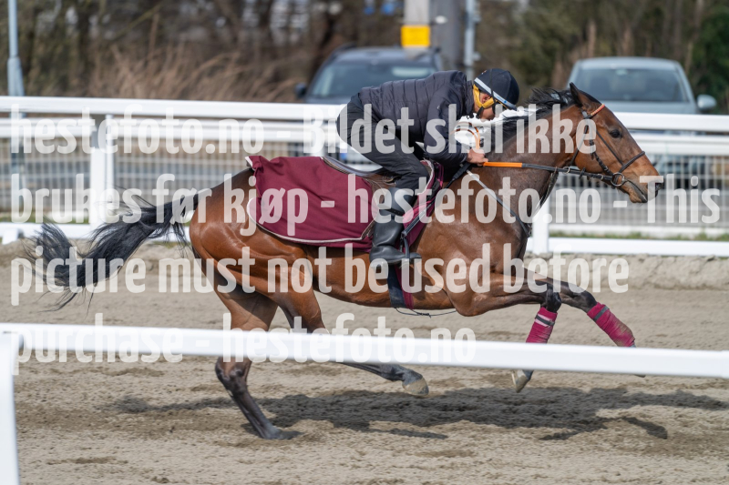 20240420-105913-DSC_3144