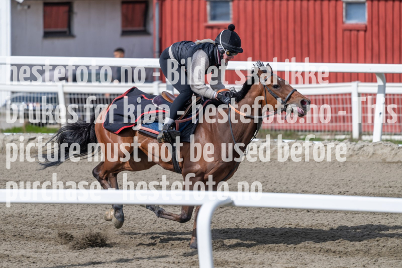 20240420-113432-DSC_3769