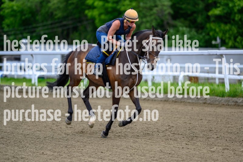 20210619-114619-DSC9816