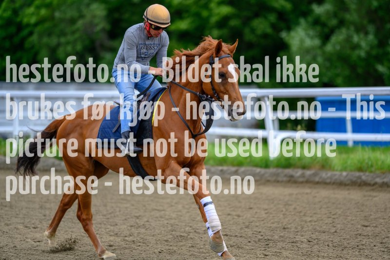 20210619-114915-DSC9899