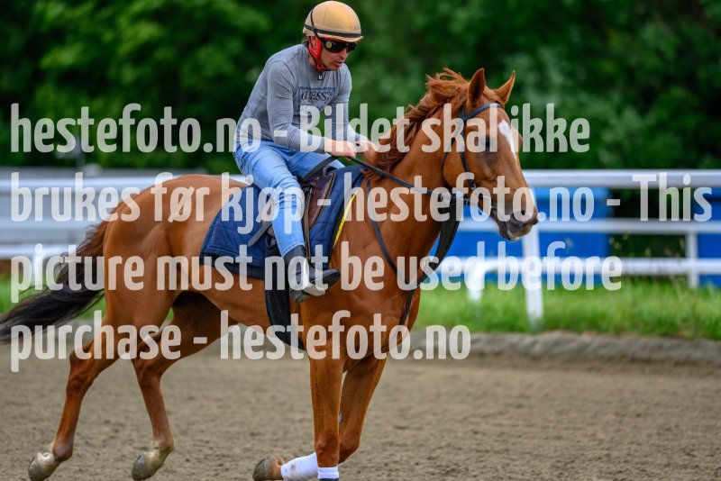 20210619-114916-DSC9900