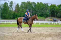 20210619-100216-DSC9614