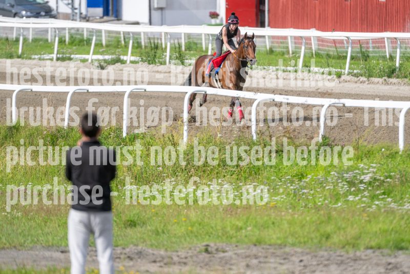 20240720-101641-DSC_5863
