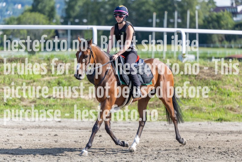 20220820-105908-DSC8963