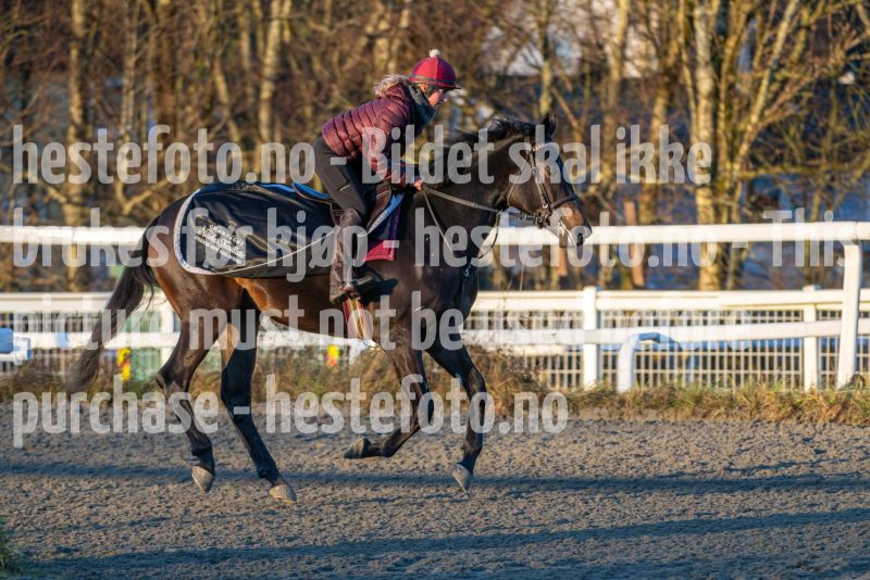 20251220-112203-DSC_2673