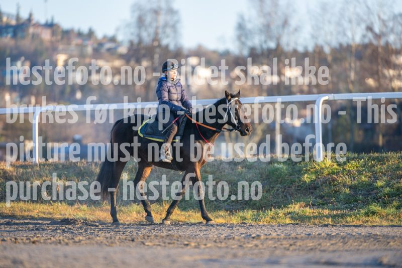 20251220-113633-DSC_3225