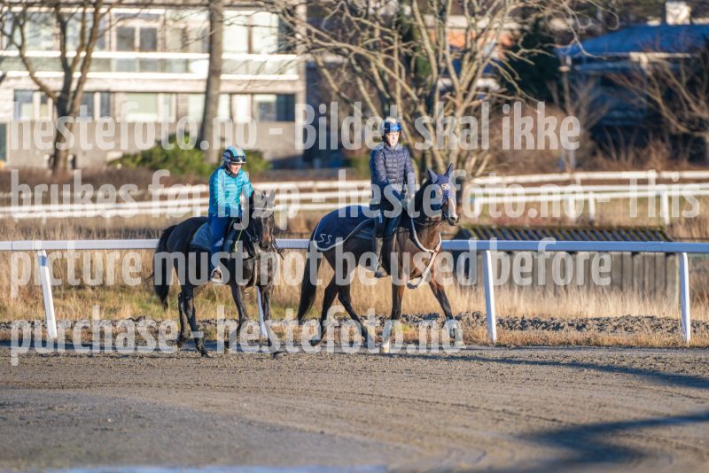 20251220-123810-DSC_4110