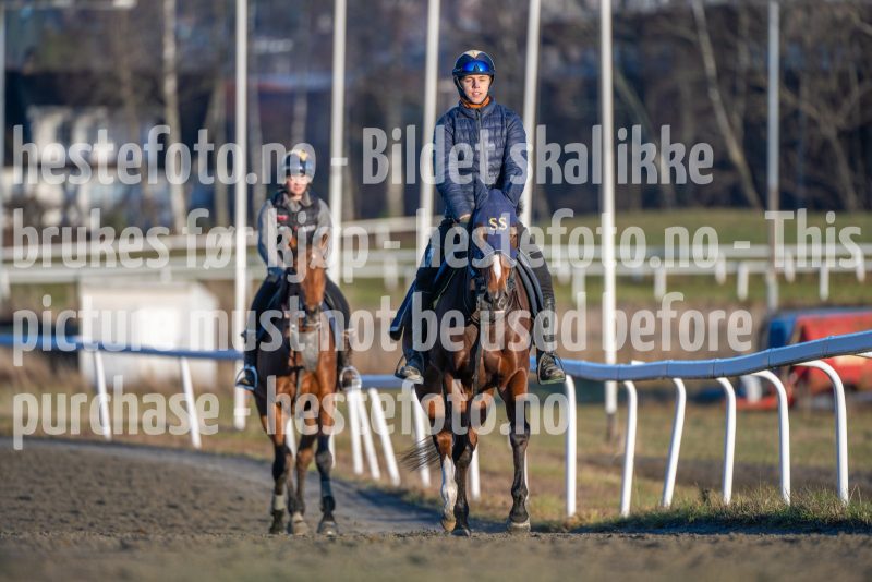 20251220-140652-DSC_4656