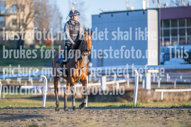 20251220-140819-DSC_4725