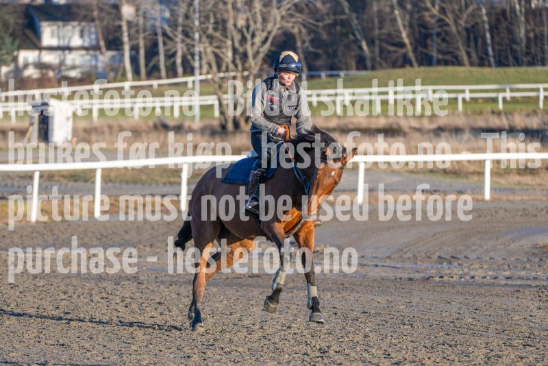 20251220-141139-DSC_4934