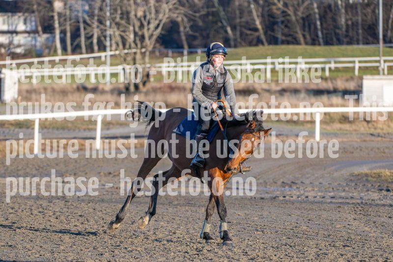 20251220-141140-DSC_4938