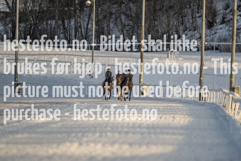 20230121-114956-DSC_7522