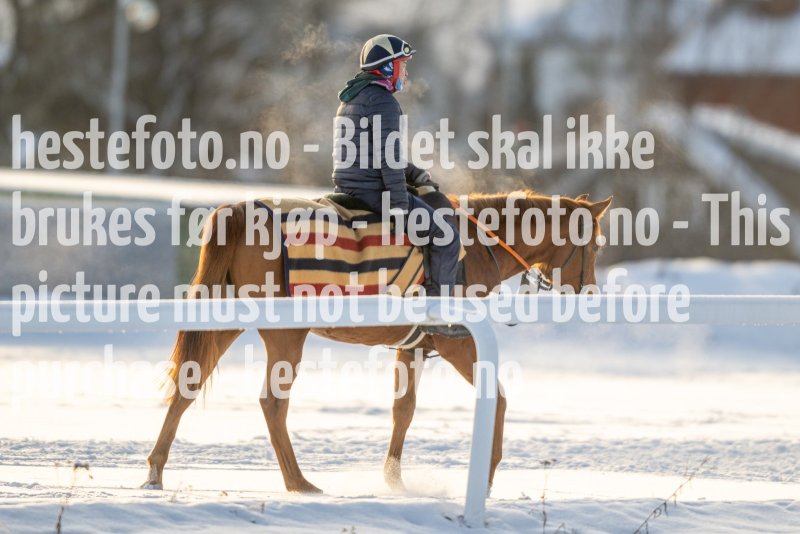 20230121-115903-DSC_8067