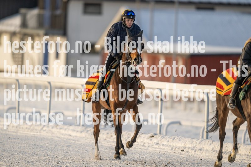 20230121-115919-DSC_8142