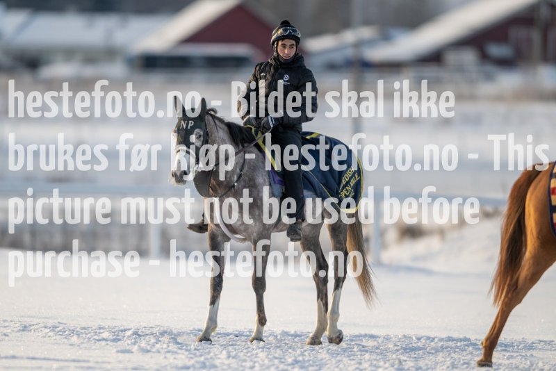 20230121-120019-DSC_8271